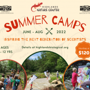 Highlands Nature Center Summer Camp