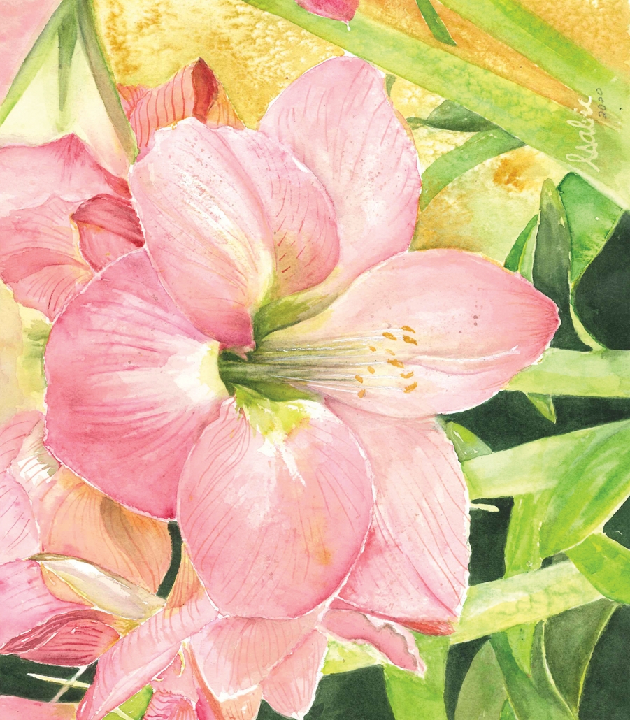 cover-artist-Linda-Sabic-pink-flower