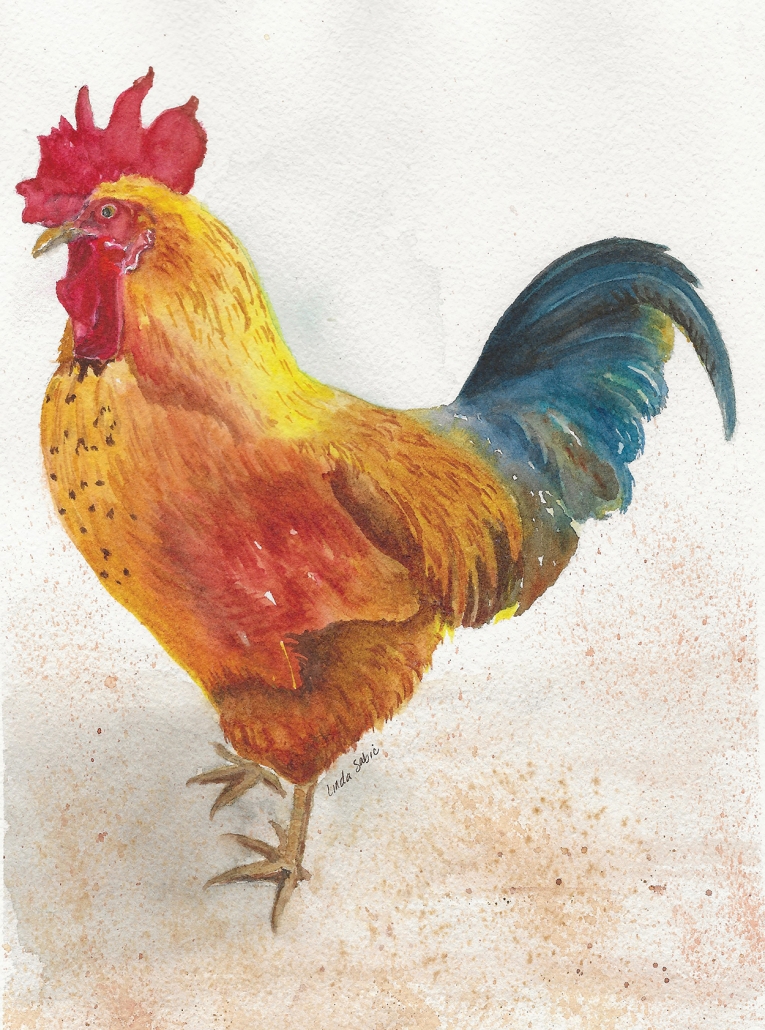 cover-artist-Linda-Sabic-rooster