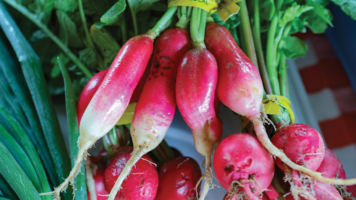 cashiers-nc-green-market-beets