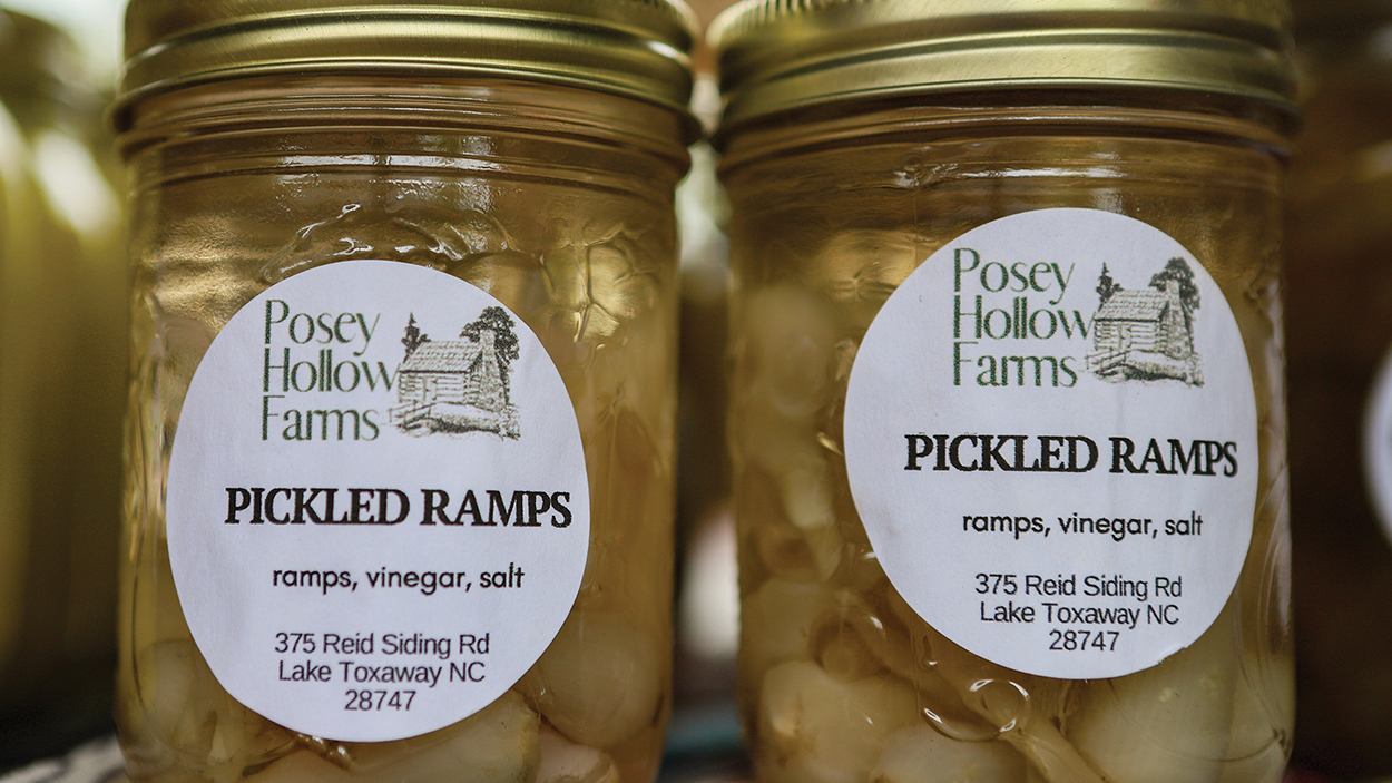 cashiers-nc-green-market-pickled-ramps