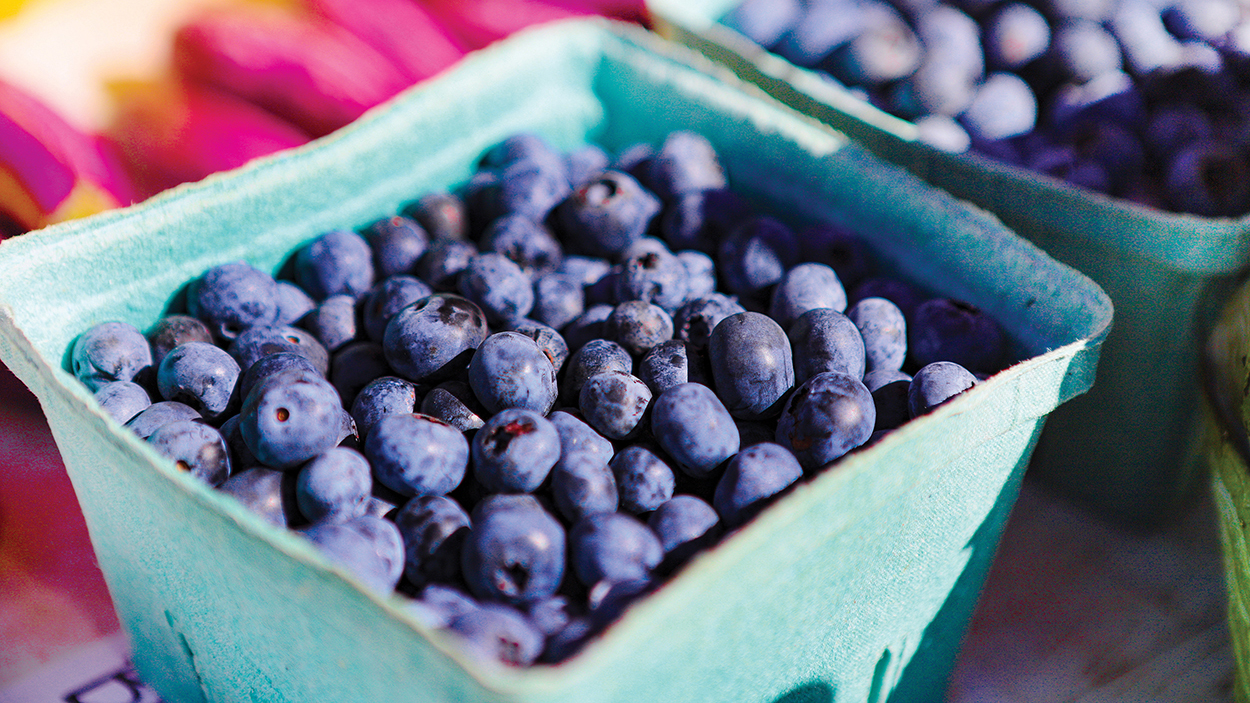 highlands-nc-highlands-marketplace-blueberries