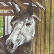 highlands-nc-sue-blair-art-horsed