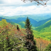 spring-highlands-cashiers-william-mcreynolds