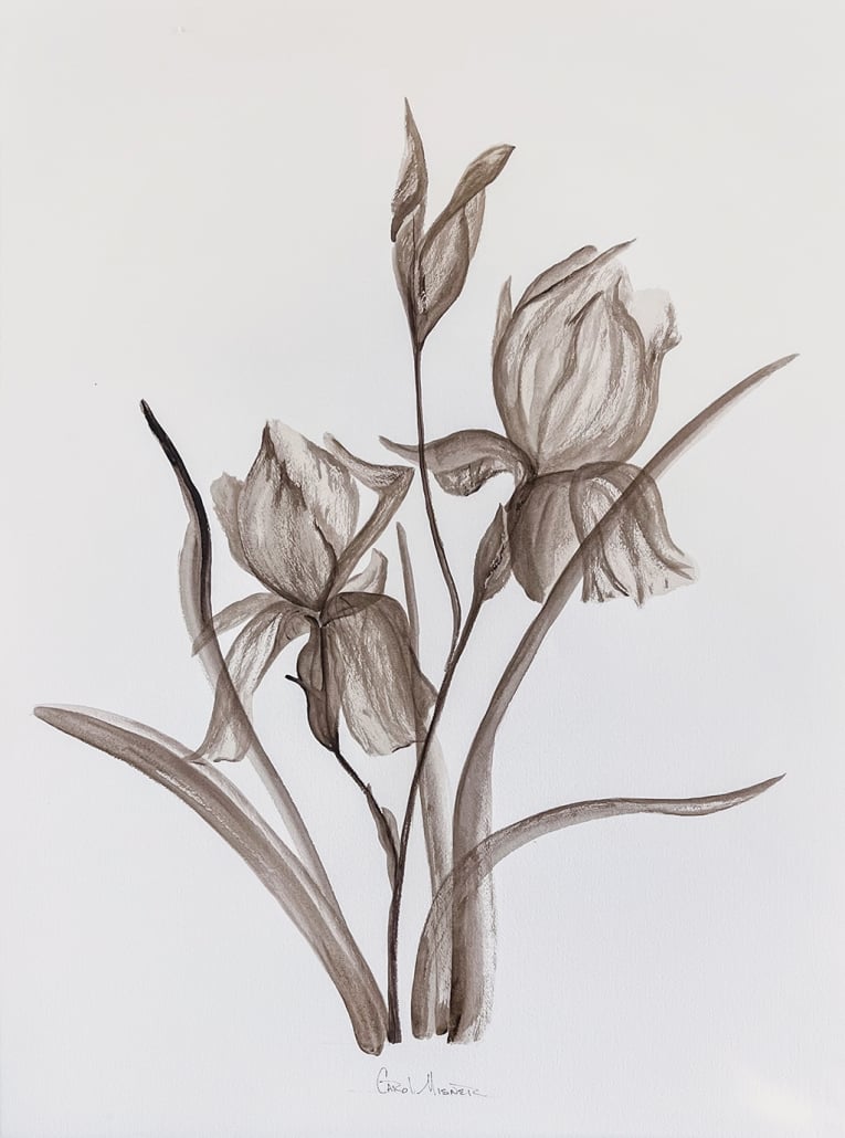 highlands-nc-artist-carole-misner-flower