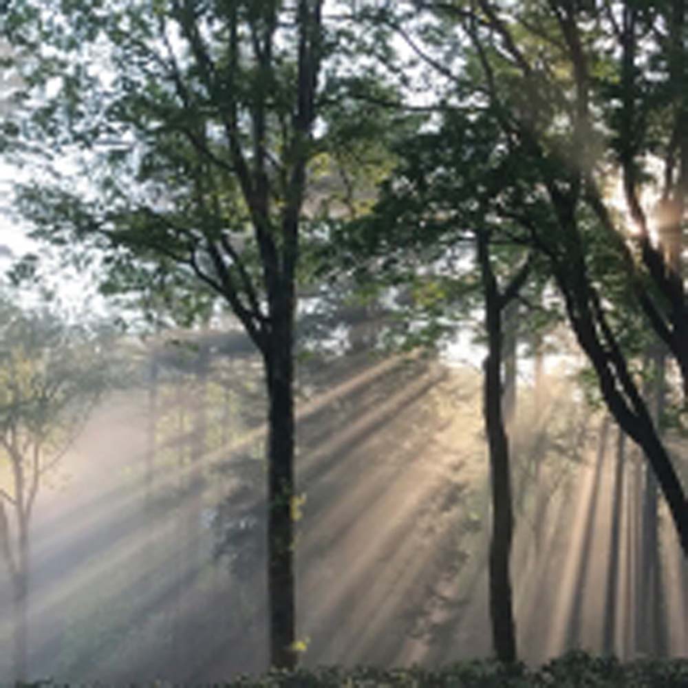 highlands-nc-biological-station