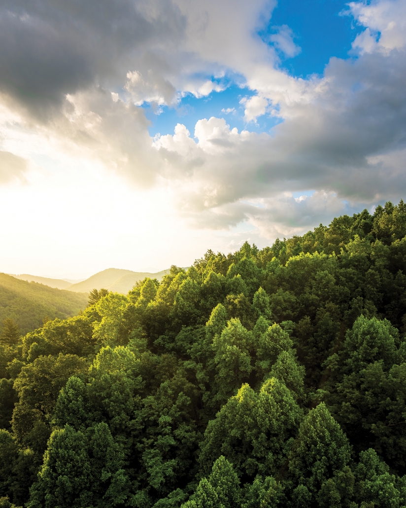 highlands-nc-cover-ryan-karcher-green-forest-blue-sky