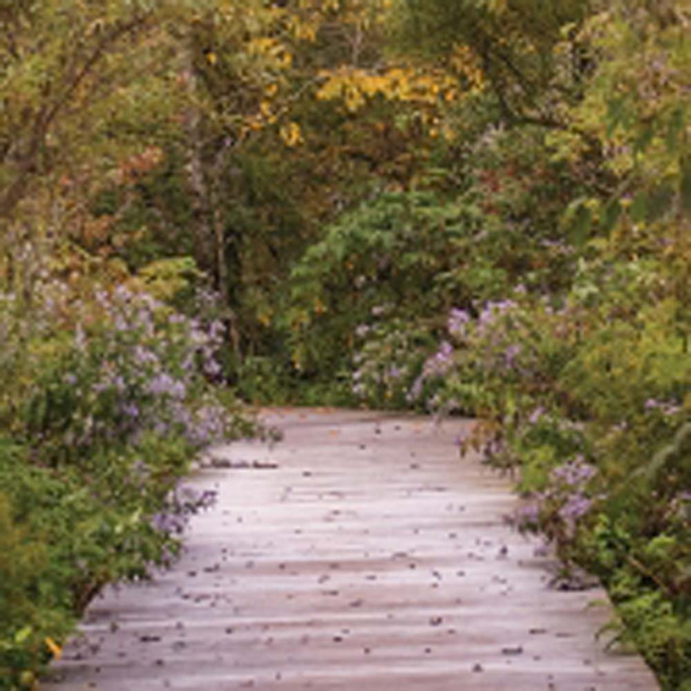 highlands-nc-highlands-nature-center-Resize