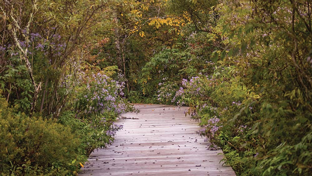 highlands-nc-highlands-nature-center-Resize