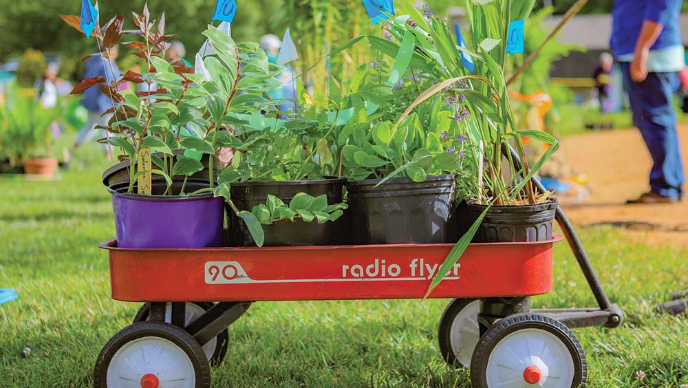 highlands-nc-mountain-garden-club-plant-sale-wagon