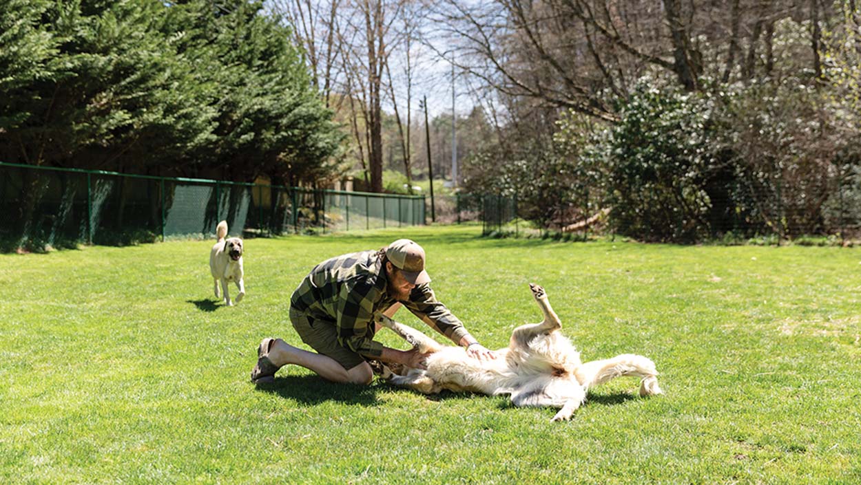 glenville-nc-k9-boarding-groomers-fur-play