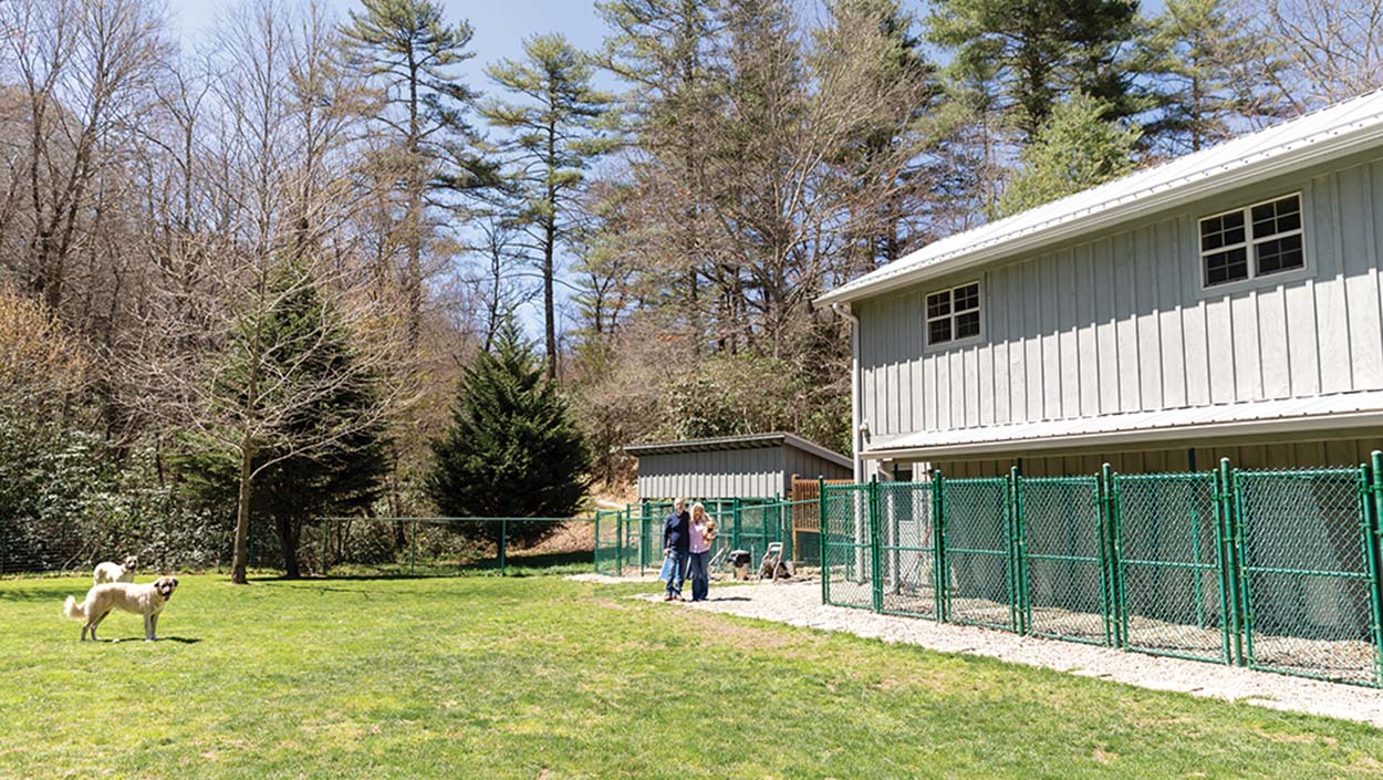 glenville-nc-k9-boarding-groomers-fur-yard