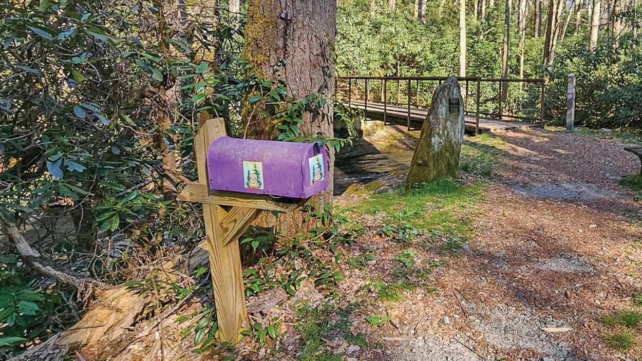 Kids Hike Highlands Laurel Magazine Highlands NC