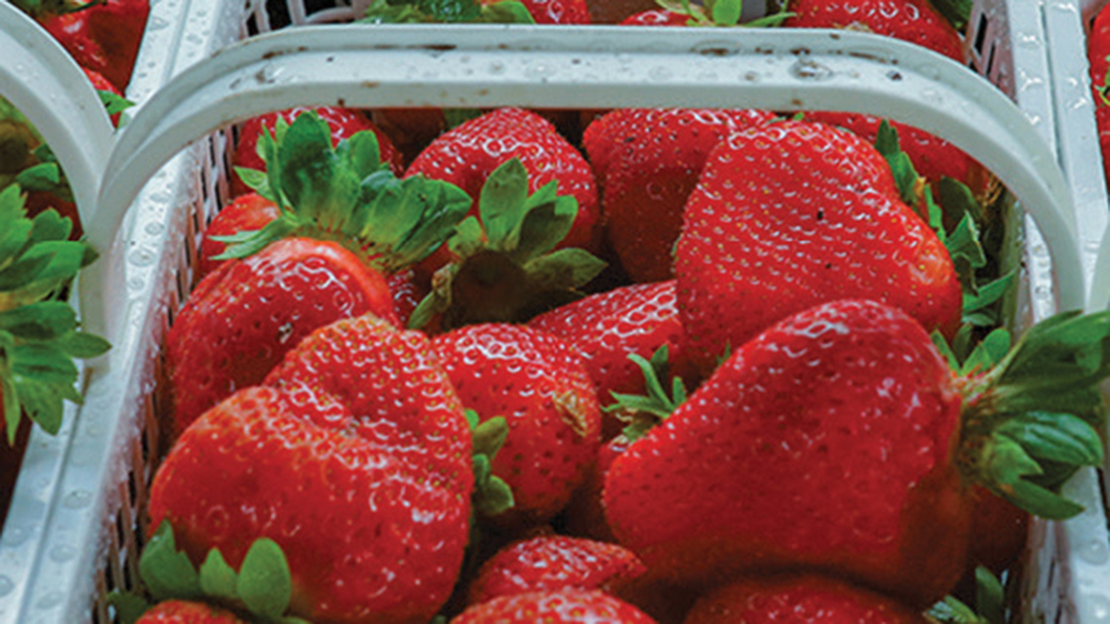 highlands-nc-cashiers-nc-locally-grown-marketplace-strawberries