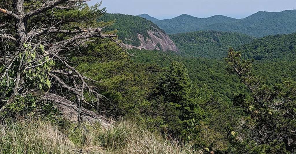 Laurel Knob EcoTour with HighlandsCashiers Land Trust Laurel Magazine