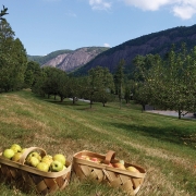 cashiers-nc-lonesome-valley-apples