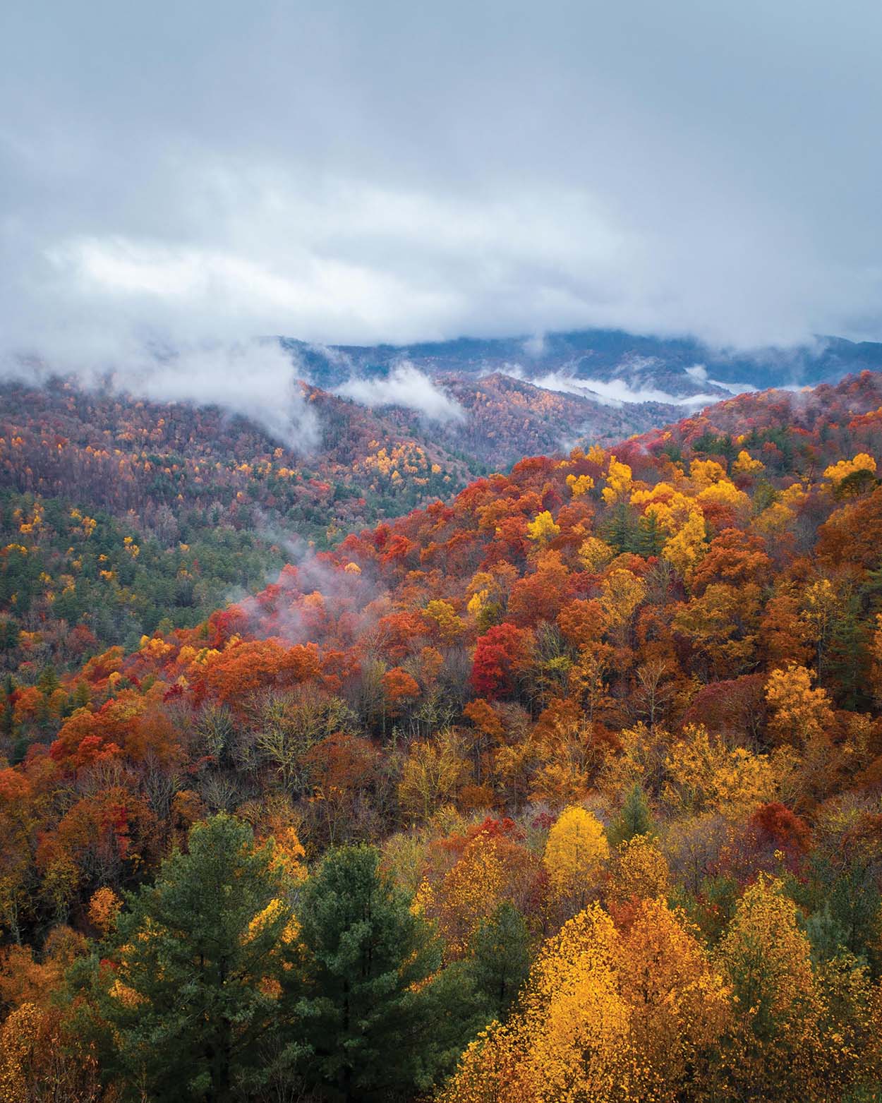 highlands-cashiers-nc-fall-ryan-karcher-mountain-fog