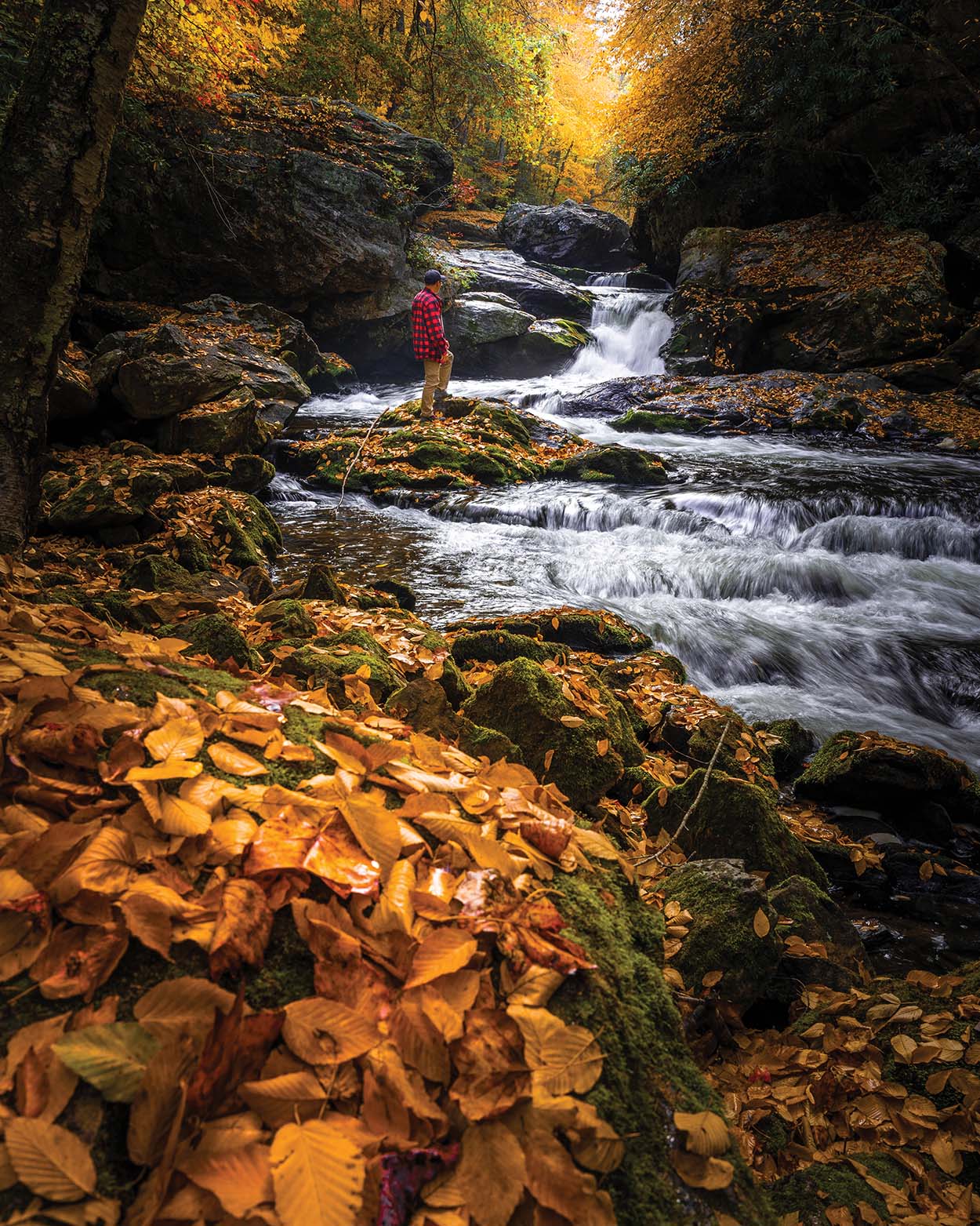 highlands-cashiers-nc-fall-ryan-karcher-stream-man