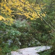 highlands-nc-biological-gardens-leaf-tour-plank