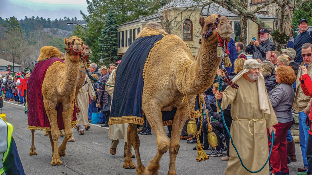 highlands-nc-christmas-parade-camel
