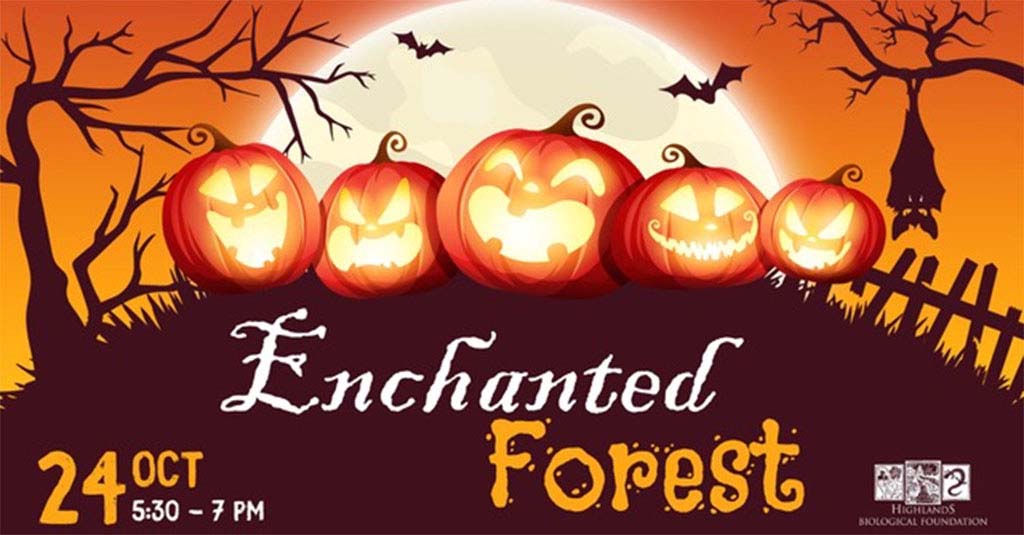 Enchanted Forest at Highlands Botanical Gardens Laurel Magazine