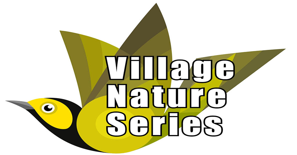 cashiers-nc-village-green-village-nature-series-logo