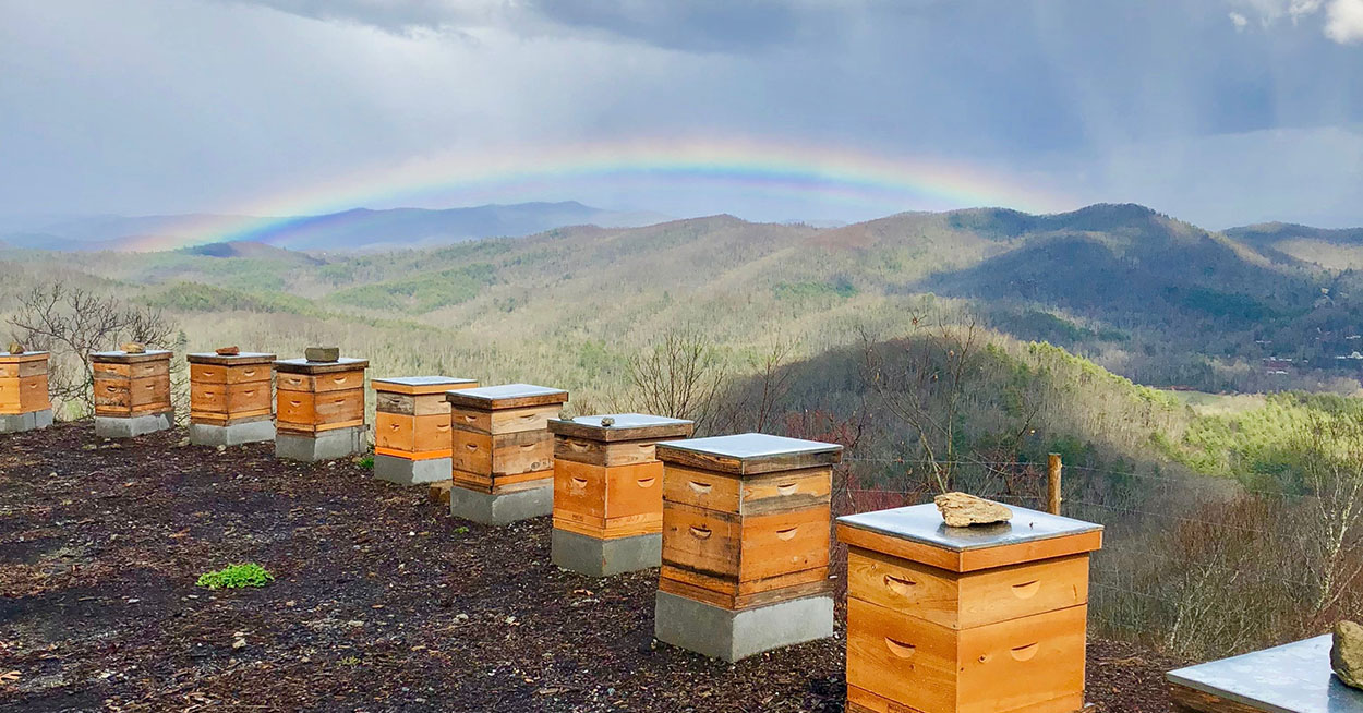 highlands-nc-shopping-acorns-killer-bees-honey